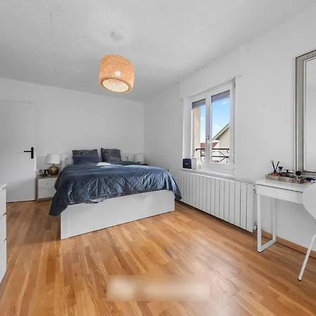 Beautiful Duplex Sablon Apartment Metz